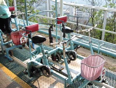 cynori04.jpg