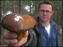 _42902987_stefan_mushroom203.jpg