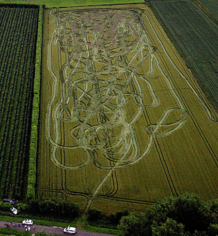 cornfieldphst_450×486.jpg