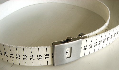 martin-haldimann-ceinture-de-suirveillance.jpg