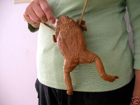 Sammakkokäsilaukku