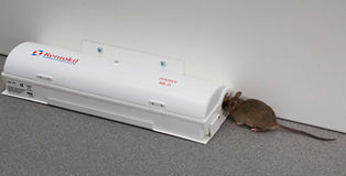 Rentokil RADAR - tekstiviestejä hiiriltä haudan takaa