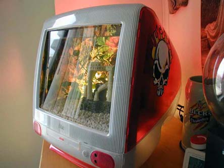 iMac akvaario
