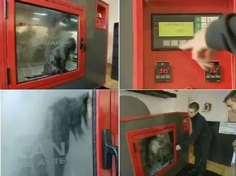 Täysautomaattinen koiranpesukone