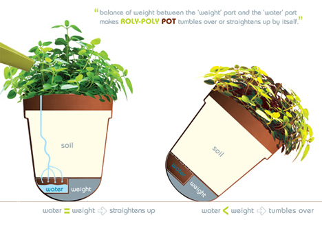 Kukkaruukku kallistuu kun kukka tarvitsee vettä
