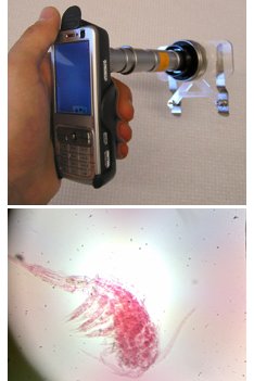 Kännykkäkamera -mikroskooppi yllättää hyödyllisyydellään