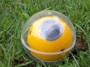 TosPom on pallokamerakonsepti