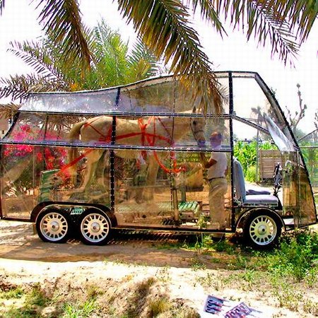 Naturmobil on yhden hevosvoiman auto