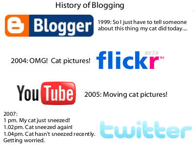 history-of-blogging-cat
