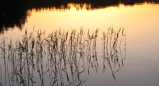 lake_view