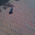 img_0094 img_0094