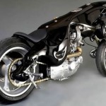 cat-bike4_vpgym_5784 cat-bike4_vpgym_5784