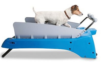 The Canine Treadmill - koiran juoksumatto