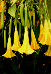 Tee-se-itse 3d-kamera 3