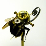 2009Bee 2009Bee
