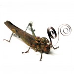Grasshopper108 Grasshopper108
