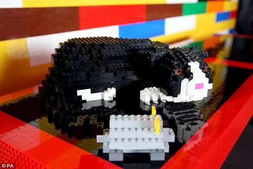 legokatti
