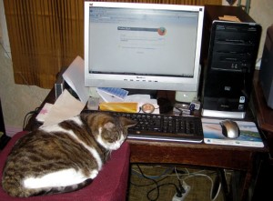 Sampo Kyyrö Sampo Kyyrö