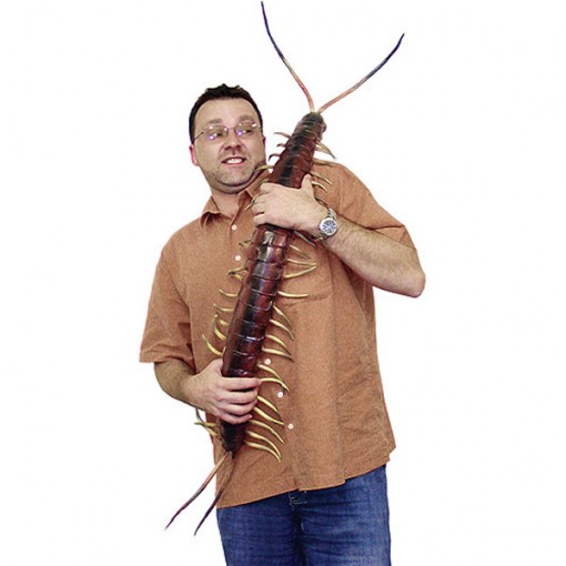 giant-posable-centipede-1