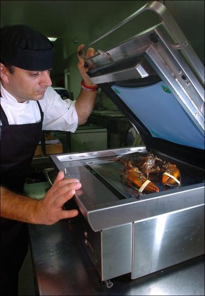 Briteissä on kehitetty laite, jolla hummerit tapetaan sähköiskulla ennen keittämistä Briteissä on kehitetty laite, jolla hummerit tapetaan sähköiskulla ennen keittämistä