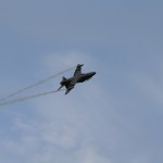 IMG_2325 Hawk Mk.51