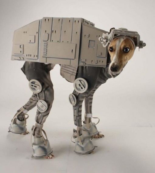 at-at kävelijä koira