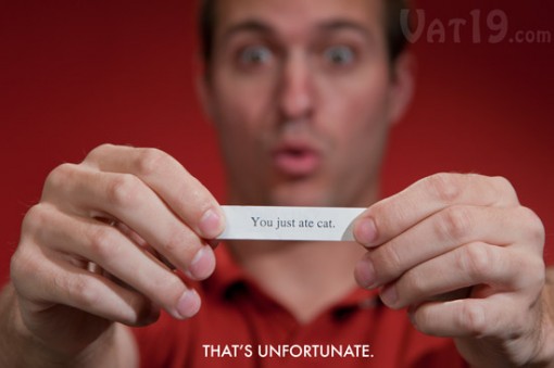 unfortunate-cookies-cat